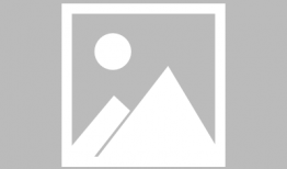 园丁西湖爆料了吗最新消息,揭秘背后惊人真相